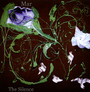 The Silence - Mar