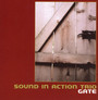 Gate - Sound In Action Trio