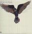 Magic Potion - The Black Keys 