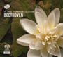 Beethoven: Violin Sonatas 5 & 9 - The Royal Philharmonic Orchestra 