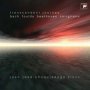 Transcendent Journey - Jose Chuquisengo