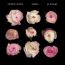 Chopin: Etudes - Chopin