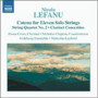 Clarinet Concerto - N. Lefanu