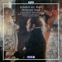 15 Orchestral Songs - Schubert / Reger