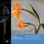 Works For Double Bass & P - G. Bottesini Works For Double Bass & P - G. Bottesini