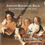 Suite BWV1007-1009 - Johan Sebastian Bach 