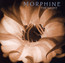 Night - Morphine