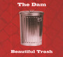 Beautiful Trash - Dam