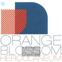 Oraneg Blossom - Herculaneum