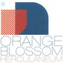 Oraneg Blossom - Herculaneum