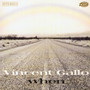 When - Vincent Gallo