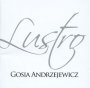 Lustro - Gosia Andrzejewicz