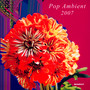 Kompakt Pop Ambient 2007 - V/A