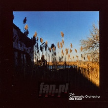 Ma Fleur - The Cinematic Orchestra - bigger Ma Fleur - The Cinematic Orchestra