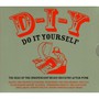 D-I-Y(Do It Yourself):The - V/A