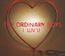 I Luve U - The Ordinary Boys 