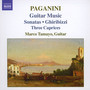 Guitar Music - N. Paganini