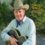 Heartaches By The Number - David Ball