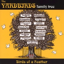 Birds Of A Father - Yardbirds Family Tree