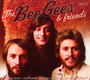 Bee Gees & Friends - Bee Gees