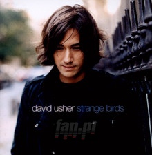 Strange Birds - David Usher - bigger Strange Birds - David Usher