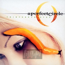 Thirteenth Step - A Perfect Circle