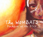 Backfire At The Disco - The Wombats