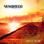 Child Of The Sun - NeWBReeD