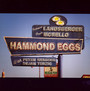 Hammond Eggs - Landsberger & Morello