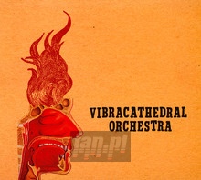 Wisdom Thunderbolt - Vibracathedral Orchestra