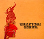Wisdom Thunderbolt - Vibracathedral Orchestra