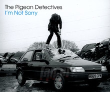 I'm Not Sorry - The Pigeon Detectives 