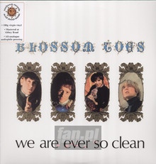 We Are Ever So Clean - Blossom Toes