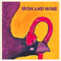 Boy With A Coin - Iron & Wine