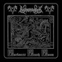 Darkness Death Doom - Runemagick