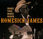 Shake Your Money Maker - James Homesick
