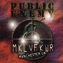 Revolverlution Tour 2003 - Public Enemy