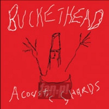 Acoustic Shards - Buckethead