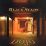 Into The Dojo - Black Seeds
