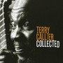 Collection - Terry Callier