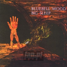 Bluebell Wood - Big Sleep