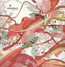 Walls - Apparat