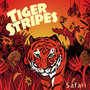 Safari - Tiger Stripes