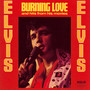 Burning Love & Hits From - Elvis Presley