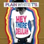 Hey There Delilah - Plain White T'S