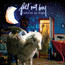 Infinity On High - Fall Out Boy