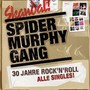 Skandal-30 Jahre Rock'n'r - Spider Murphy Gang