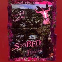 Scared Famous - Ariel Pink's Haunted Graffiti