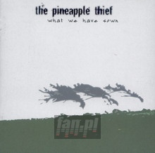 What We Have Sown - The Pineapple Thief 