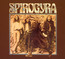 ST.Radigunds - Spirogyra ST.Radigunds - Spirogyra